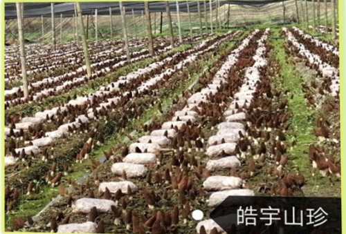 &#19975;&#35937;&#22478;&#22312;&#32447;&#30331;&#24405;&#45;&#19975;&#35937;&#22478;&#65288;&#20013;&#22269;&#65289;
