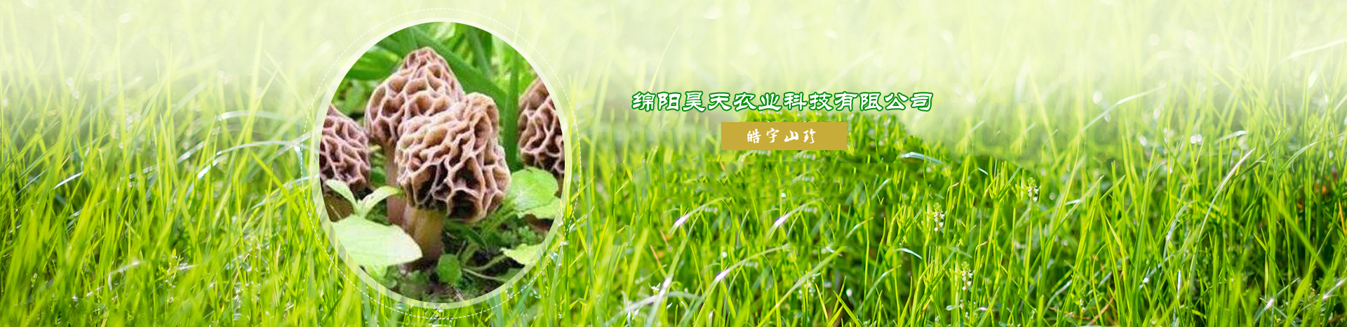 &#19975;&#35937;&#22478;&#22312;&#32447;&#30331;&#24405;&#45;&#19975;&#35937;&#22478;&#65288;&#20013;&#22269;&#65289;