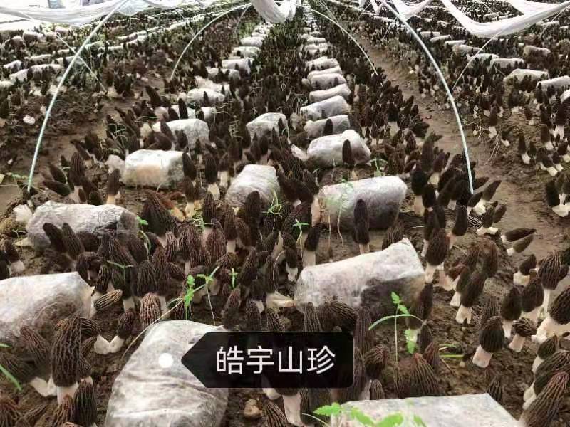 &#19975;&#35937;&#22478;&#22312;&#32447;&#30331;&#24405;&#45;&#19975;&#35937;&#22478;&#65288;&#20013;&#22269;&#65289;