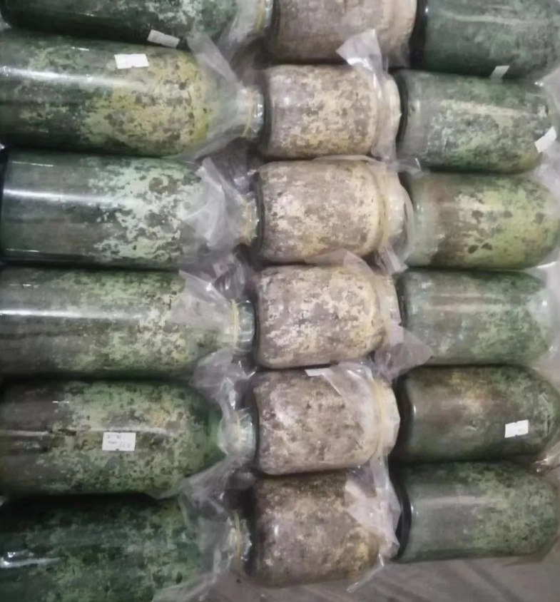 &#19975;&#35937;&#22478;&#22312;&#32447;&#30331;&#24405;&#45;&#19975;&#35937;&#22478;&#65288;&#20013;&#22269;&#65289;